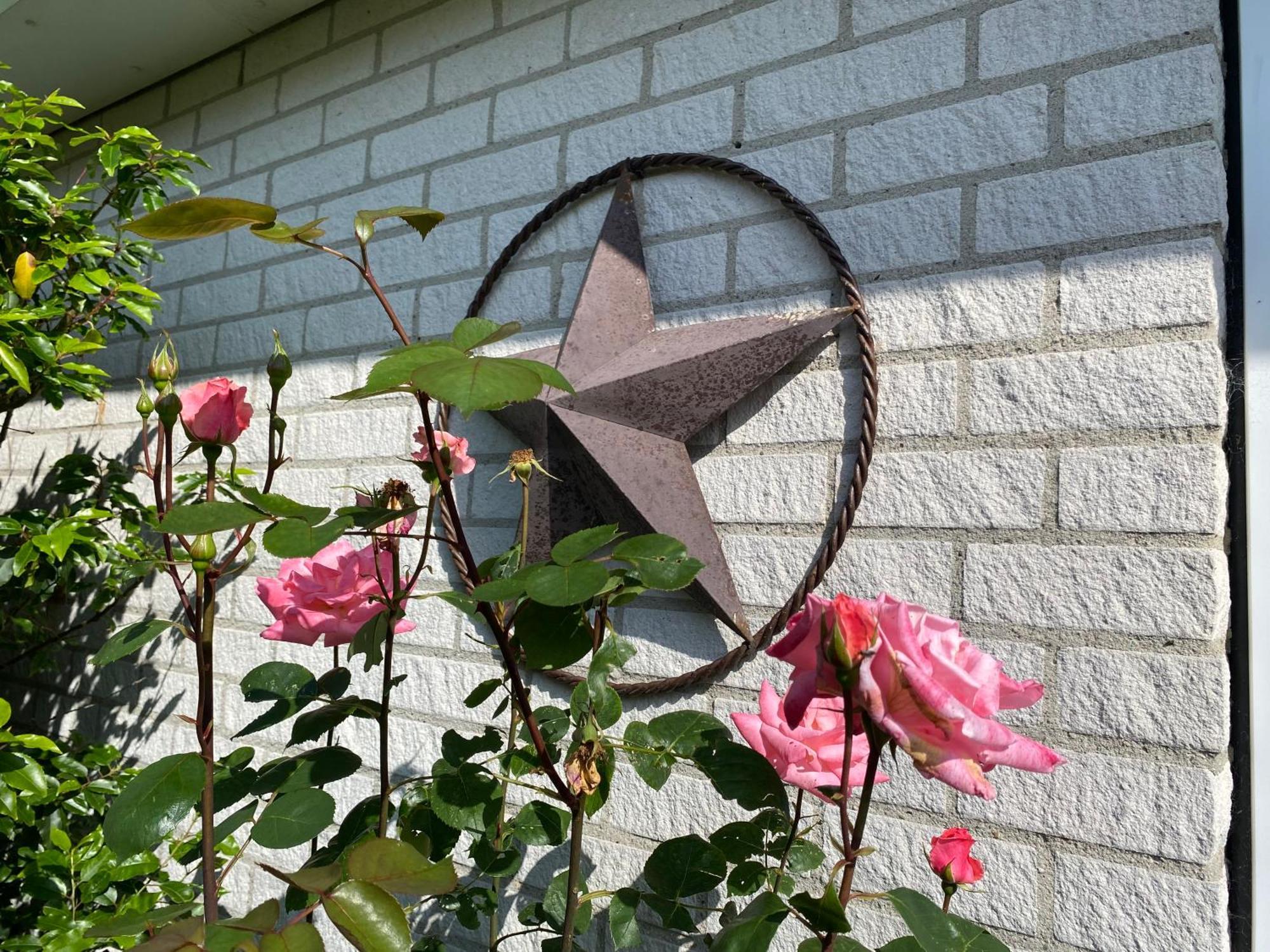 Lonestar Appartement Burgh-Haamstede Buitenkant foto